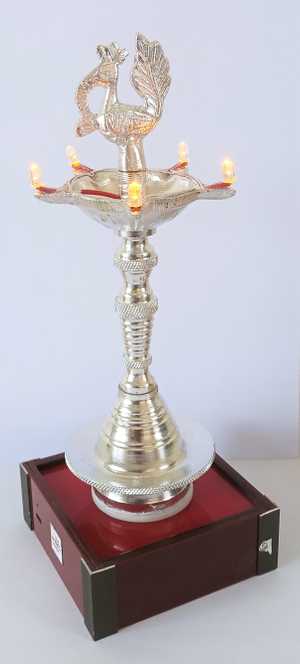 Agneya Special Solar Products